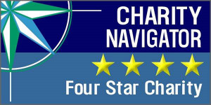 4StarRect-2